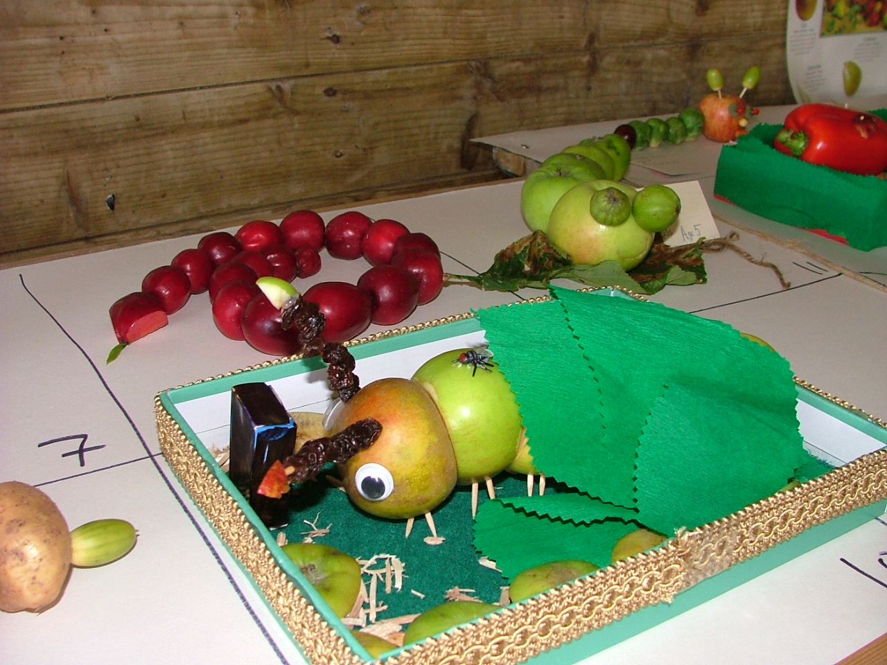 image_t20