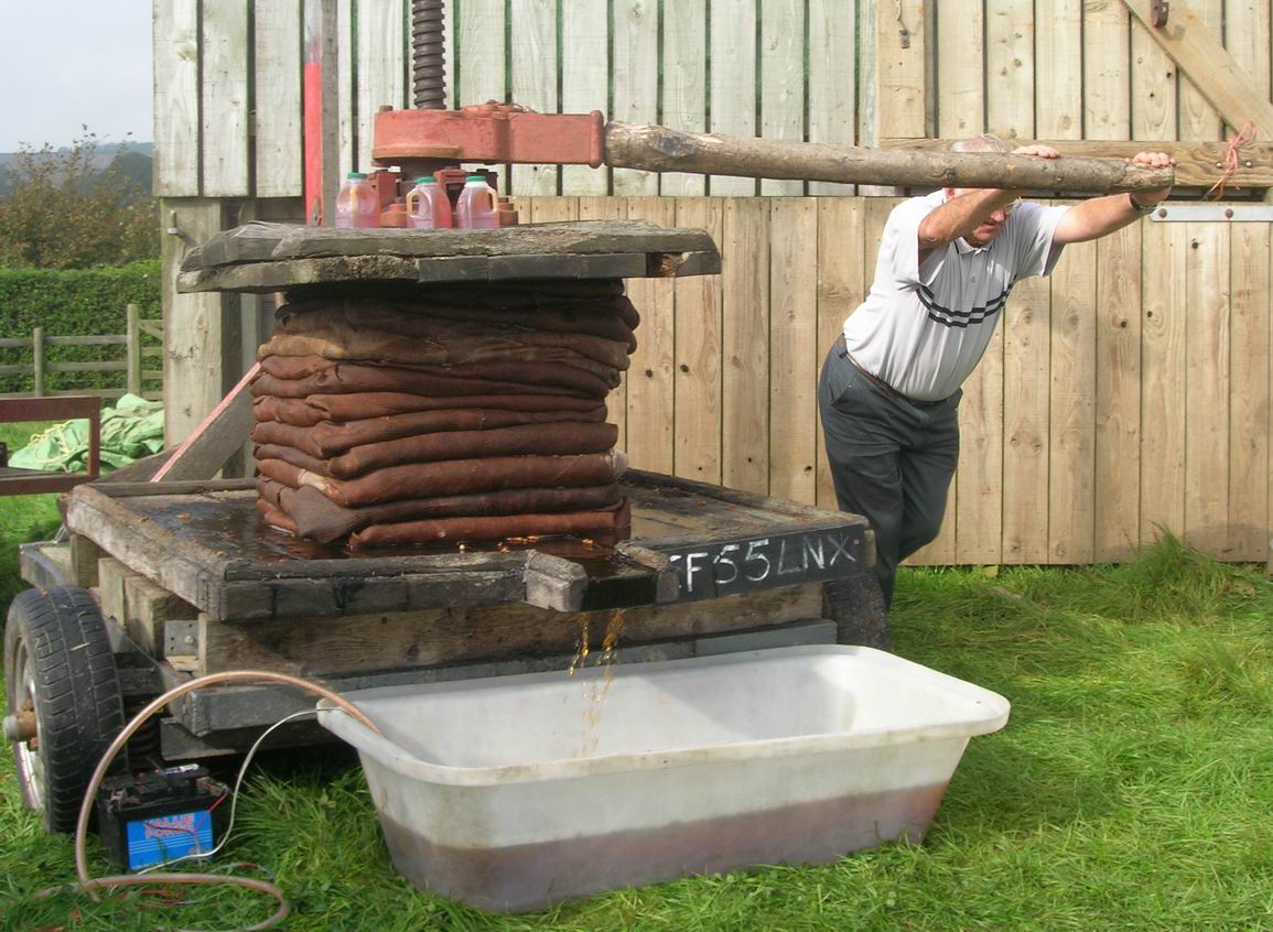 image_t7