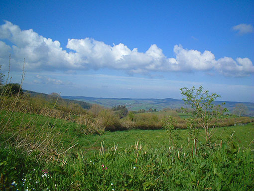 image_t25
