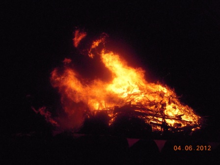 image_t5